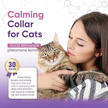 Gentle Paws™ 4x Cat Natural Calming Collar